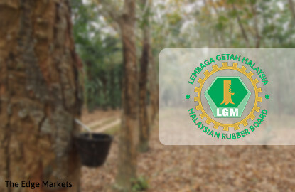 Malaysian Rubber Board inks research agreement with FGV other rubber product makers